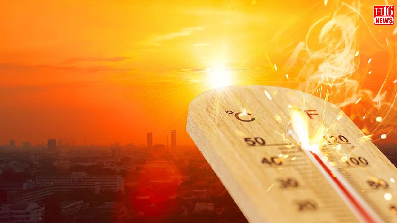 Rajasthan's Ganganagar Records Season's Highest Temperature At 49.4 Deg, Says IMD